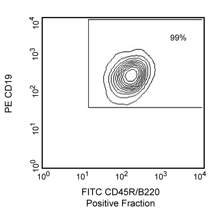 8504DE_551513_image3.png